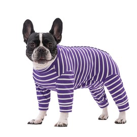 Zjyufy Dog Recovery Suit for Female Male Dogs After Surgery Recovery Onesie Suit Anti Licking Dog Surgical Shirt with Stripes Dogs Pajamas for Dogs Gril Boys