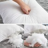 Oubonun 28 x 28 Euro Pillow Inserts with 100% Cotton