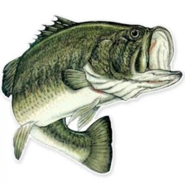 AK Wall Art Largemouth Bass Fishing Fish Car Vinyl Sticker - SELECT SIZE - (A) X-Small: 3"
