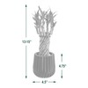Arcadia Garden Products LV38 Tornado Lucky Bamboo, Live Indoor Plant