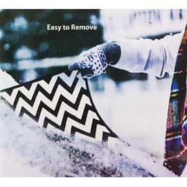 Winter Windshield Cover