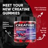 WEVYHFS SPORTS Creatine Monohydrate Gummies 5000mg – Sugar-Free Vegan Creatine