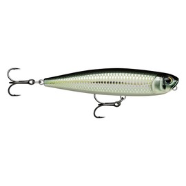 Rapala - Fishing bait precision Xtreme pencil plastic construction - bait bottom water - surface swimming depth - size 8.7 cm / 12 g - made in Estonia - bleak