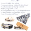 Pettsie Matching Dog Collar, Bandana, Friendship Bracelet, Durable Hemp, 4