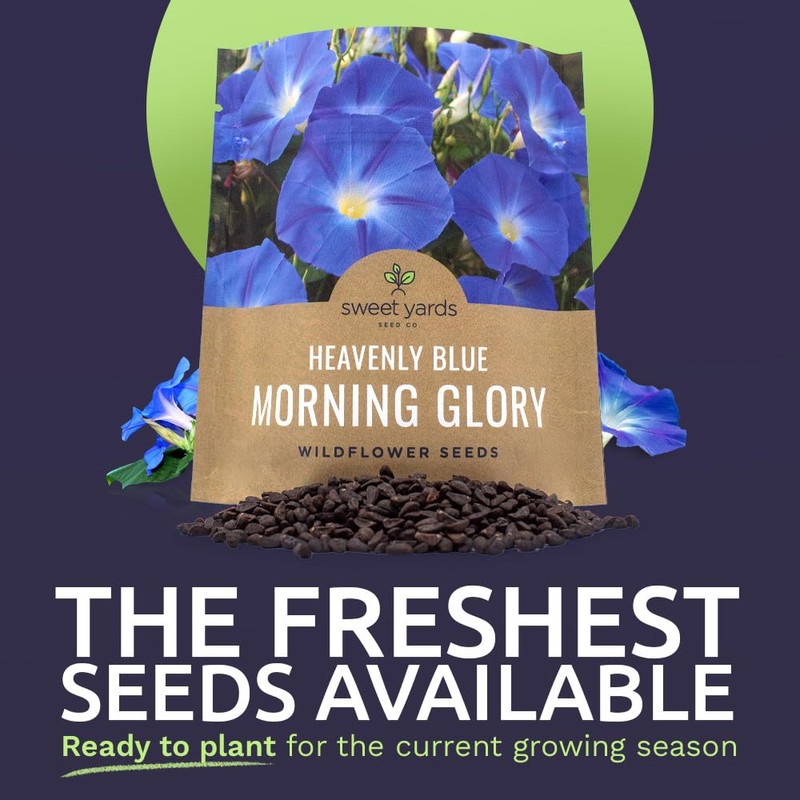 Morning Glory Seeds Heavenly Blue - Large 1 Ounce Packet