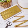 CABODYALS 10M Gold Sequin Strips Single Row Braid Metallic Trim