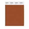Pantone 17-1342 TCX Smart Color Swatch Card, Autumnal