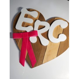 EmilyRose Couture Large Velvet Hair Bow Collection (Barrette, Shocking Pink)