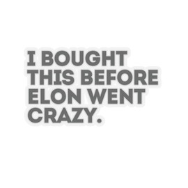 Anti Elon Sticker, I Bought This Before Elon Went Crazy Protest Sticker, Decal, Vinyl Sticker, Political Car Bumper Sticker