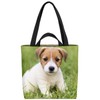 VOID Jack Russell Terrier Bag 33 x 33 x 14