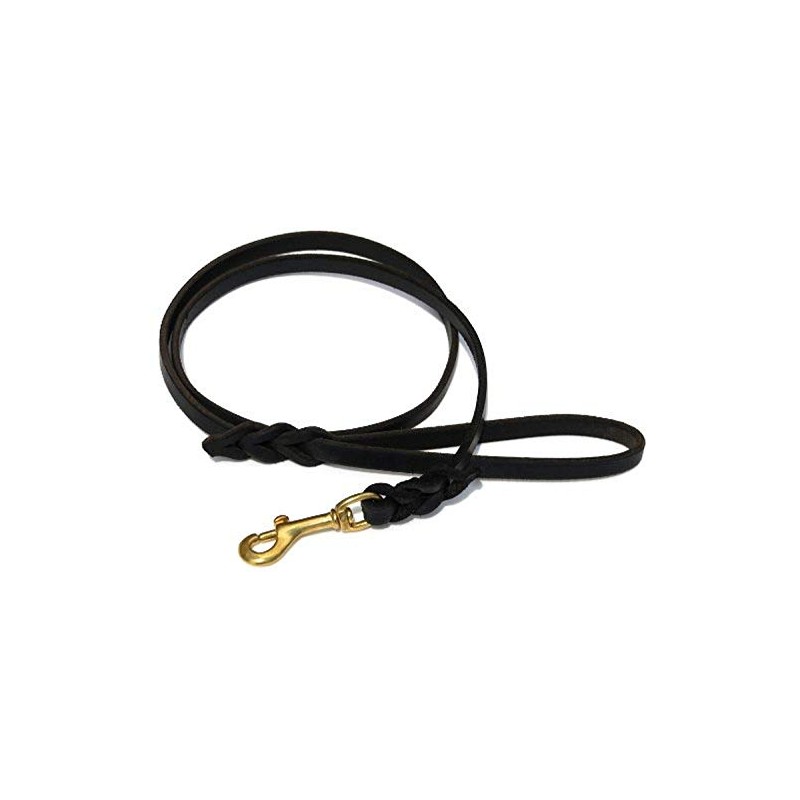 Ray Allen Mfg Signature K9 Braided Leather Leash, 4-Feet x