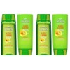 Garnier Fructis Sleek & Shine 2 Shampoo + 2 Acondicionador