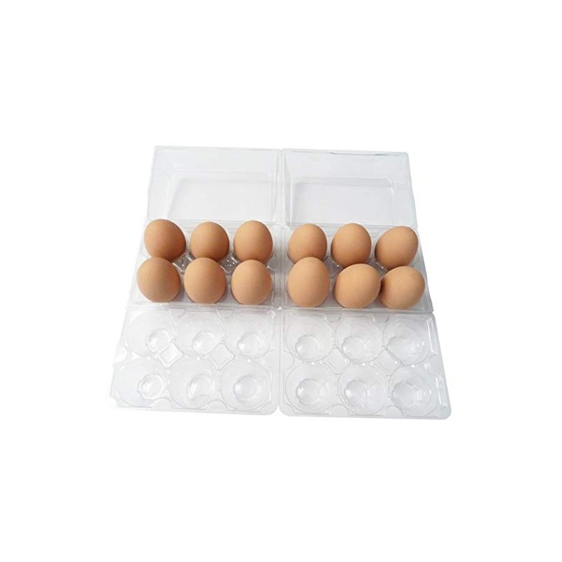 Clear Plastic Tri-Fold Split 6-Egg Carton - 35 Pack