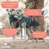 candyPet Greyhound Acrylic Wool Jumper: Style, Warmth and Comfort -