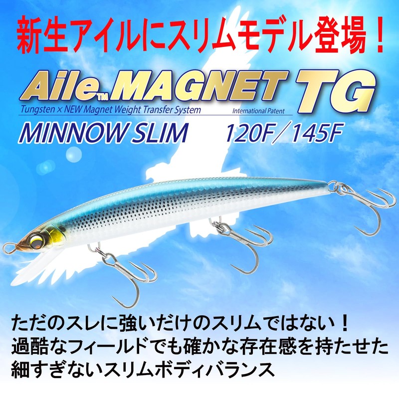 DUEL(デュエル) アイルマグネット TG ミノースリム 120mmフローティング 17g オリジナルイワシ 遠投 重心移動