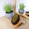 Intirilife Body Brush with Natural Bristles - 11.5 x 6.5