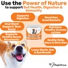 NutriPaw NutriPaw Dental Formula & Probiotics Bundle - Soft Chews