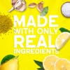 Tessemae's Organic Lemon Garlic Dressing and Marinade, Whole30 Certified, Keto