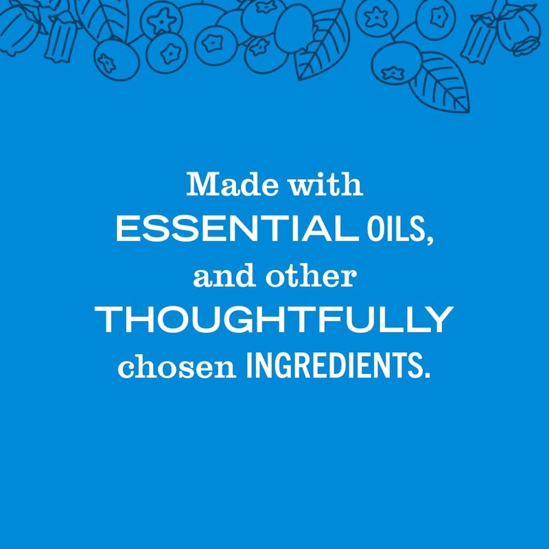 MRS. MEYER'S CLEAN DAY Liquid Dish Soap, Blueberry Scent, 16