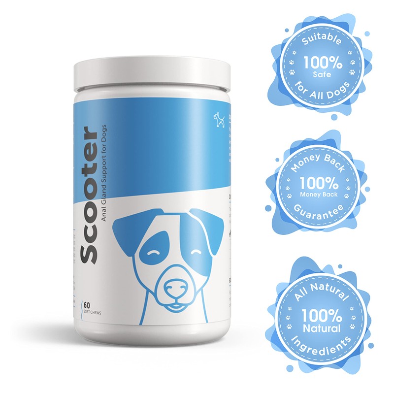 Dog's Lounge - SCOOTER - Digestive Soft Chews for Dogs