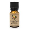 Orange Sweet 10ml Natural 100% Vegetable Essential Oil Aroma Oil
