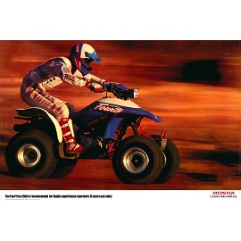 Unbranded Team Honda 1991 TRX250X poster  paper 250X TRX