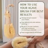 CSM Agave Plant-Based Dry Body Brush: Natural Firm Bristles for