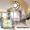 Camphor - Box of Six 20 Stick Tubes - Hem
