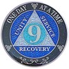 (Years 1-50) 9 Year AA Recovery Silver Color Plated Glitter