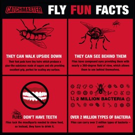 Gold Stick Fly Traps by Catchmaster - 4 Count, Ready to Use Indoors & Outdoors. Bug Mosquito Gnat Pheromone Glue Sticky Adhesive Tube Board Clean Kill Long-Lasting Non-Toxic - Made in The USA