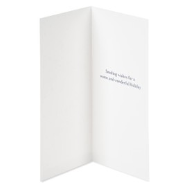 Papyrus Holiday Cards Boxed with Envelopes, Warm and Wonderful, Snowflakes (16-Count)