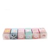 Pensoul Kit 6pz Goma Borrador Transparente Animalito Kawaii Premium