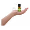 Plantlife Aceite De Neem Orgánico 100% Puro Aceite Base Pren