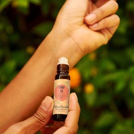 Edens Garden Tummy Essential Oil Roll-On Blend- 100% Pure Premium Grade, Natural, Therapeutic, Aromatherapy, Kid & Skin Safe, The Best for Body, Comfort, Wellness Pre-Diluted 10 ml (.33 fl oz)