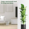 12Packs Plant Support Stake Half Round Plant Support, Stackable 3