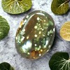 Steinfixx® - Beautiful XL Ocean Jasper Palm Stone | Soap
