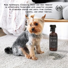 Muse Apothecary Complete Pet Stain and Odor Remover Enzyme Carpet Cleaner - Dog Stain Remover and Odor Neutralizer, Essential Oils Infused, Pet Stain Remover for Carpet - Pet Stain Carpet Cleaner 16oz