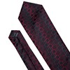 Barry.Wang Men Tie Set Plaid Red Black Grey Silk Necktie