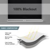 Cordless Roller Shades Blackout Blinds for Windows Room Darkening Rolled