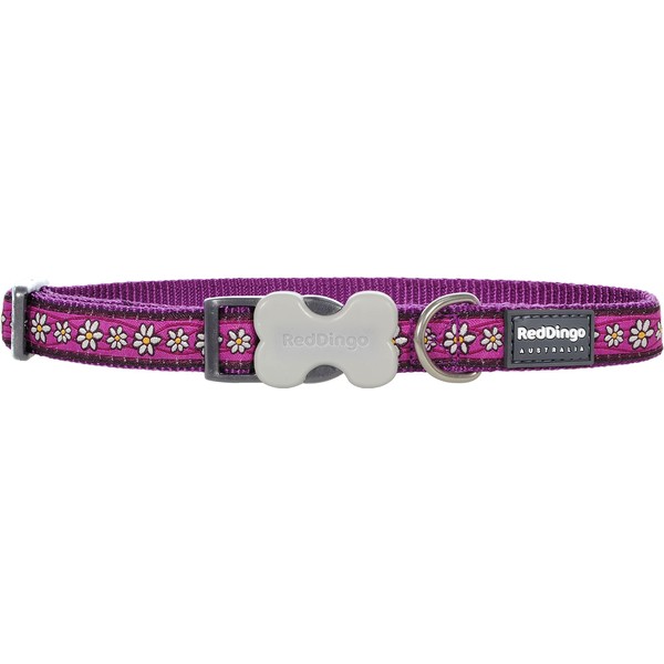 Red Dingo Bucklebone Dog Collar Design, Daisy Chain Purple, X-Small