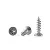 GOHODOMINO #10 x 3/4" Wood Screw 100Pcs, Stainless Steel 304