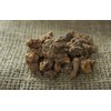 Tormentil Rhizome (Potentilla Erecta - Tormentillae Rhizoma) Health Embassy -