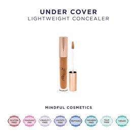 Pretty Vulgar Concealer Colour 124 Shade for Days