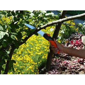 Garten Primus Hai-Speed 02010 Folding Saw 22.8 x 7.3 x 2.4 cm Black/Orange