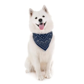 Genuine Fred Howligans Dog Bandana, Small, Navy