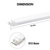 T8 T10 T12 2FT LED Light Tube - 8W LED