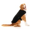 FuzzYard Black Teddy Dog Wrap Vest (2)