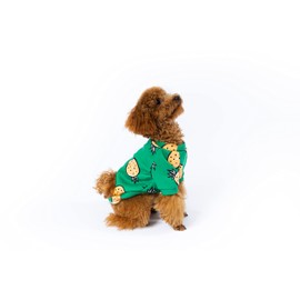 Fashion for Dogs T-Shirt | Stylish All Season Clothes for Small Pets with Colourful Adorable Print | Machine Washable Breathable Material | Colour, Size