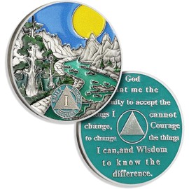 6 Year Sobriety Coin Six Year AA Coin Alcoholics Anonymous Medallion Sun Chip AA Chips and Medallion Sobriety Gifts for Men Women Recovery Gift Anniversary Token Forest River Tree Coin