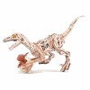 ROKR 3D Wooden Puzzle Velociraptor Dinosaur Toy DIY Mechanical Model